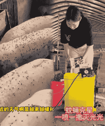养殖场苍蝇怎么消毒的