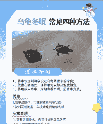 上海巴西龟冬天怎么养殖