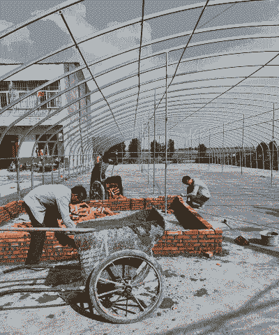 怎么开个大棚养殖厂