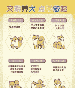 共享宠物狗怎么推广养殖