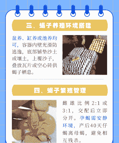 在山上养殖蝎子怎么养的