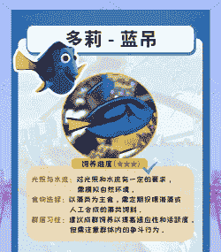 水族馆的海鱼怎么养殖