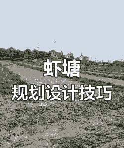 小龙虾养殖项目怎么选址