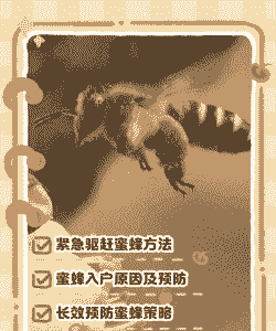 养殖蜜蜂不好怎么办呢