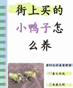 刚买2只鸭子怎么养殖