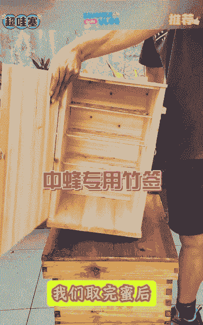 土养蜂群怎么过箱养殖