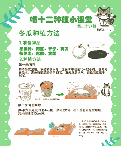 农村种植养殖怎么赚钱快