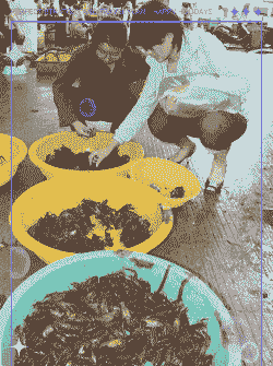 小龙虾养殖水温怎么调节