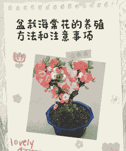 海棠小苗上盆后怎么养殖