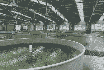 养殖废水的利润怎么样