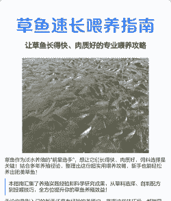 养殖的小草鱼怎么喂养啊