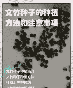 怎么样养殖野生竹笋种子