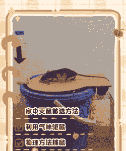 养殖厂怎么驱鼠赚钱