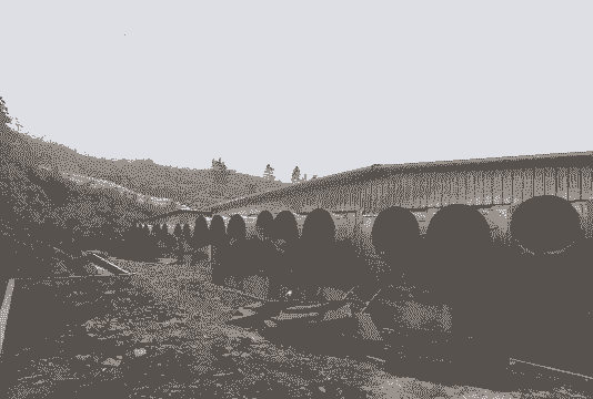 养殖场环保怎么整改的