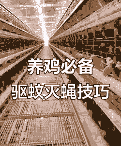 养殖场白天怎么灭蚊虫