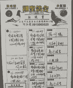 信鸽养殖场名字怎么起