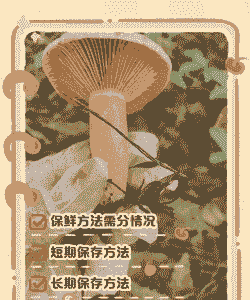 宜昌养殖食用菌怎么保存