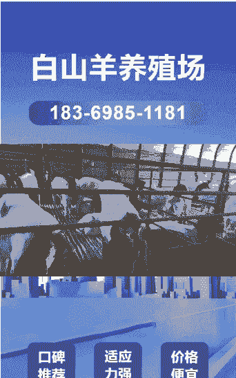 宜宾养殖羊怎么样联系