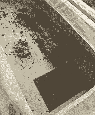 嘉兴水产养殖蚂蝗怎么样