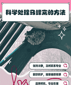 马蜂养殖没技术怎么办