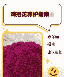 鸡冠花怎么养殖方法