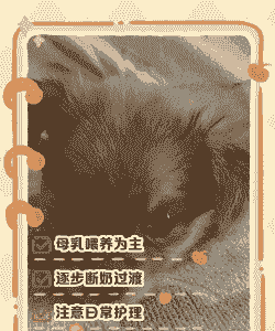 40天的狗要怎么养殖