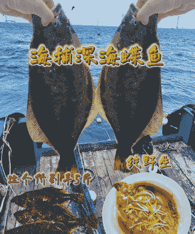 海里抓的鱼在家怎么养殖