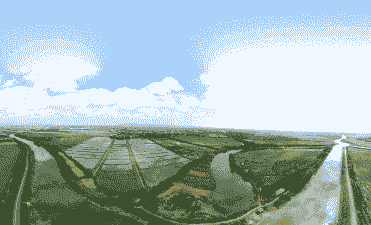 生态养殖的前景怎么样