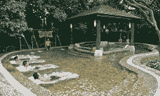 温泉水养殖收益怎么样