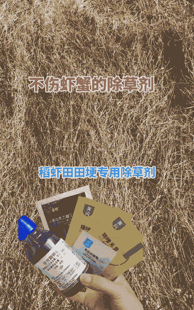 稻虾稻蟹养殖怎么用药