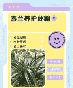 拼多多买的春兰怎么养殖