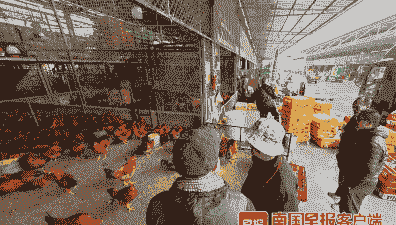 鸡鸭肉养殖市场怎么样