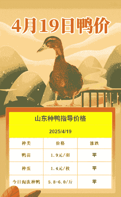 养殖几万只鸭怎么销售