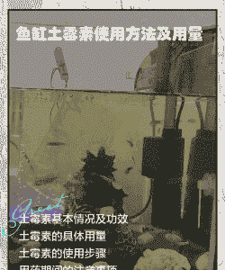 土塘养殖怎么用好土霉素