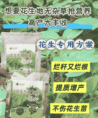 修理后的花生田怎么养殖