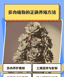 多肉树在北方怎么养殖