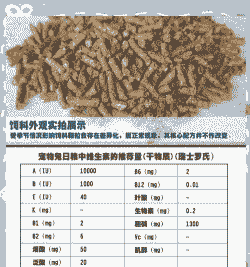 兔子养殖怎么发酵饲料肥
