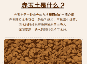 一块土地怎么养殖好