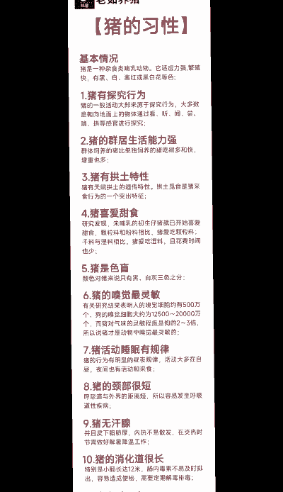 怎么样介绍生态野猪养殖