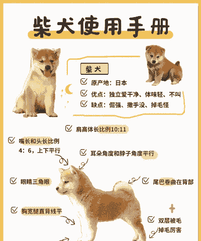 日本柴犬30天怎么养殖