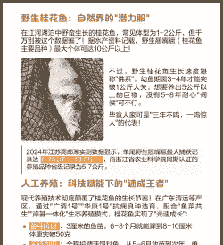 鱼怎么养殖能长多大的