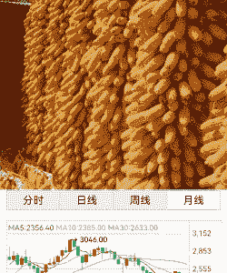 期货玉米养殖前景怎么样