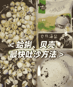 沙滩上蛤蜊怎么养殖的快