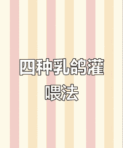 哺乳期鸽子怎么养殖的
