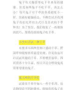 小兔子不会吃草怎么养殖