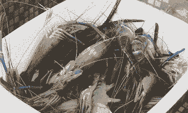 北美虾养殖怎么样的