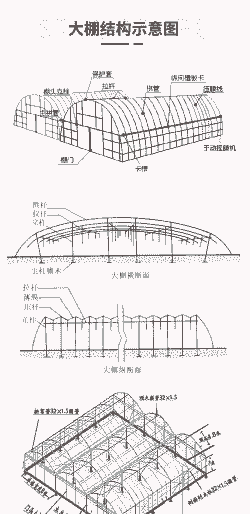 养殖大棚结构怎么样建