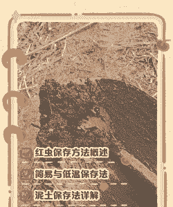 石榴树上的红虫怎么养殖