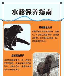 养殖场水貂怎么处理的