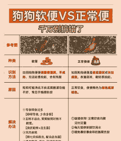 土狗养殖怎么处理排泄物